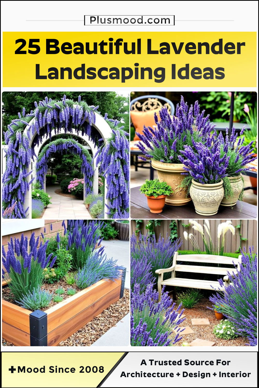 lavender landscaping ideas