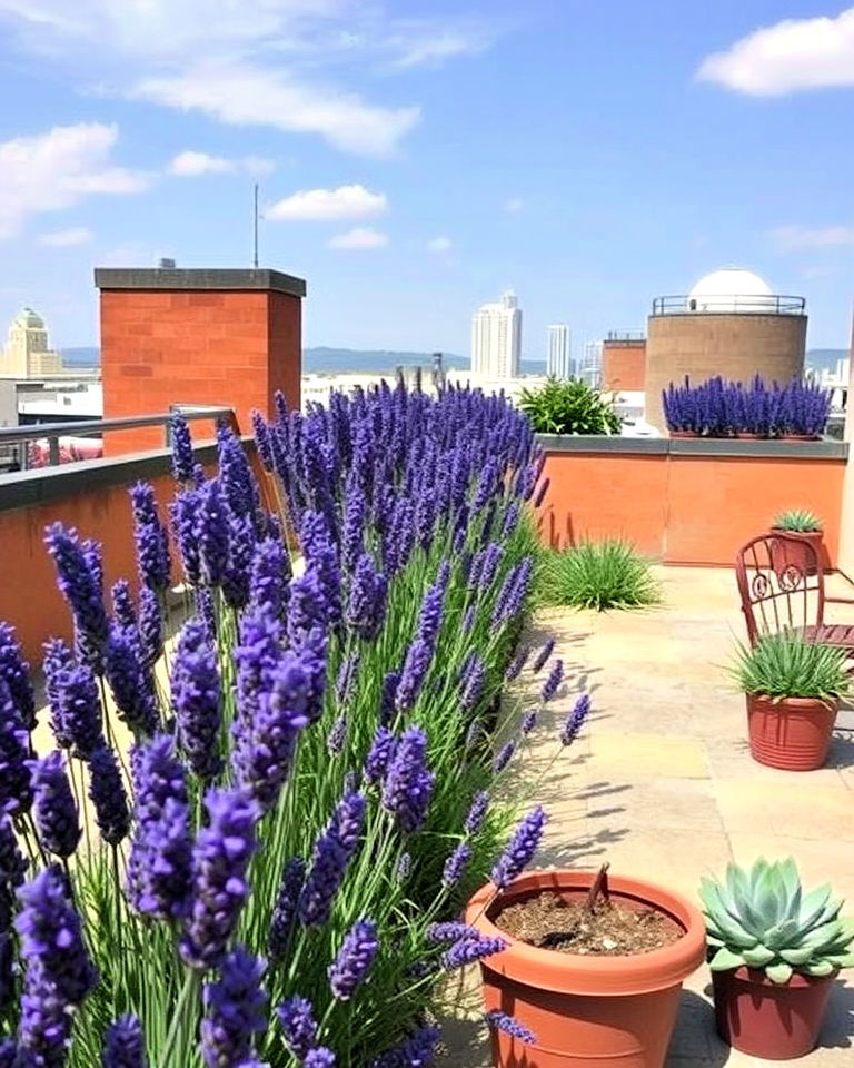 lavender rooftop garden - 25 Lavender Landscaping Ideas