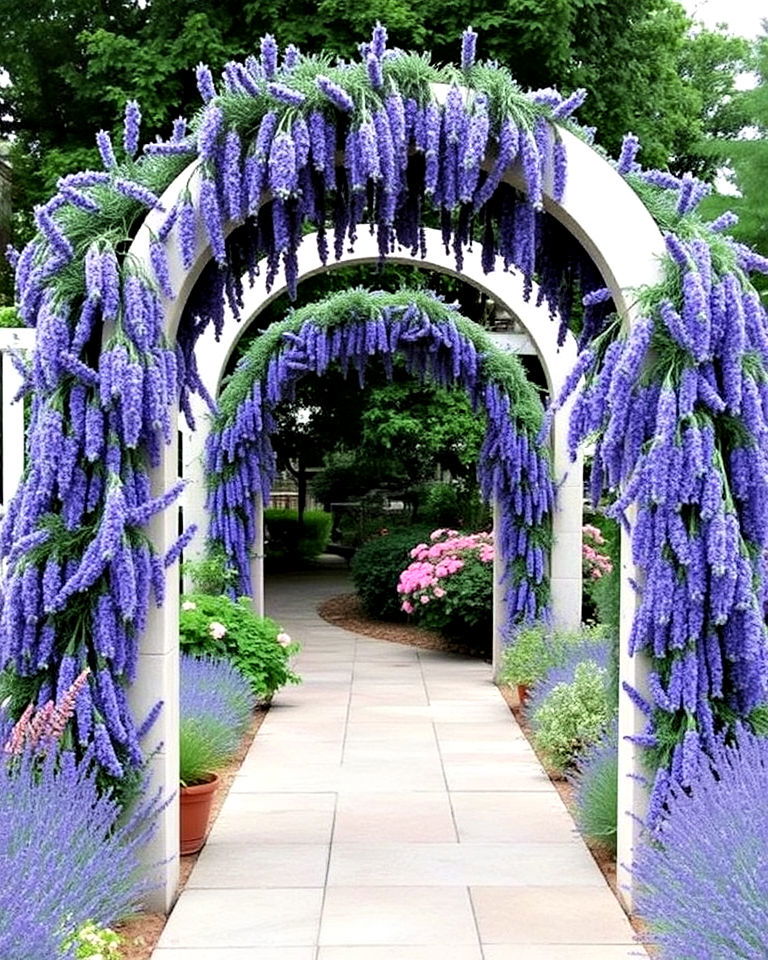 lavender trained archway - 25 Lavender Landscaping Ideas