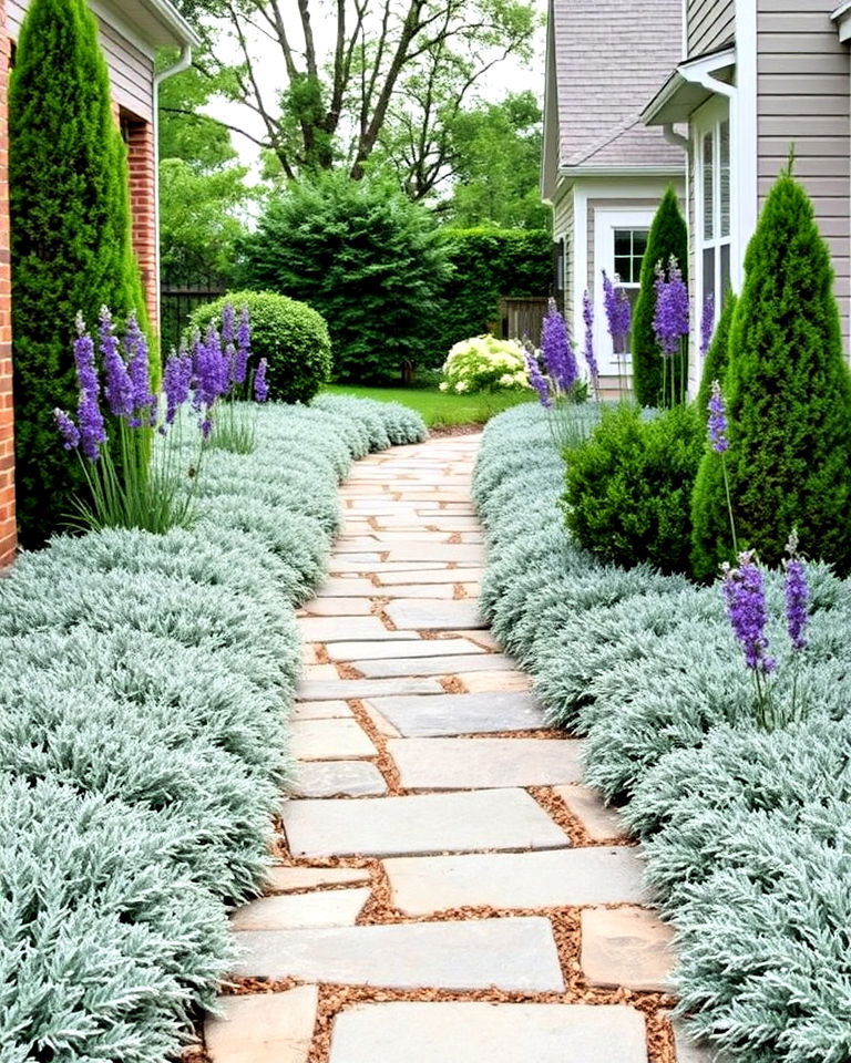 low maintenance lambs ear along walkways - 15 Lambs Ear Border Ideas