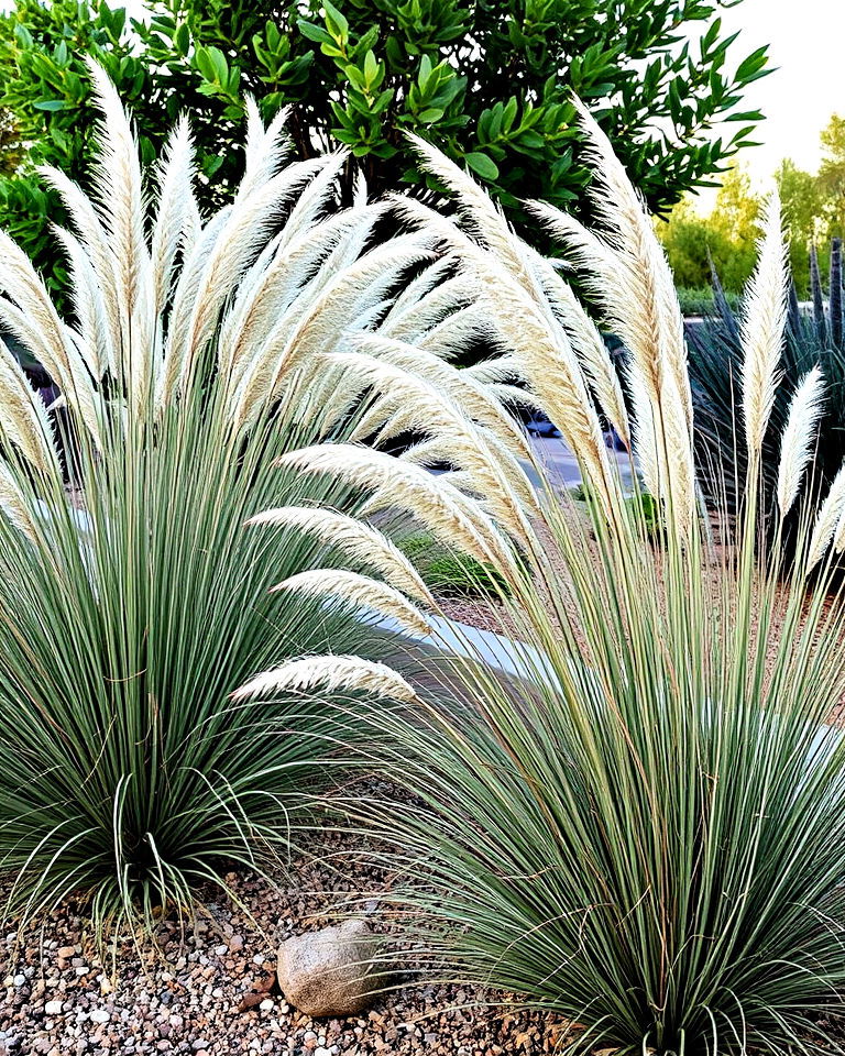 low water ornamental grasses - 25 Las Vegas Backyard Landscaping Ideas