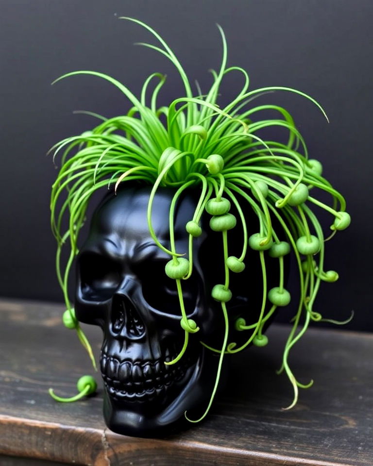 macabre gothic skull planters - 15 Head Planter Ideas