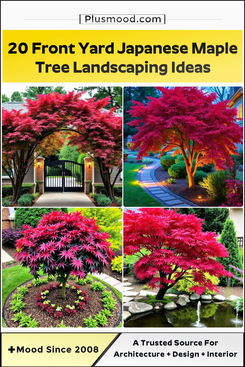 maple tree landscaping ideas to copy