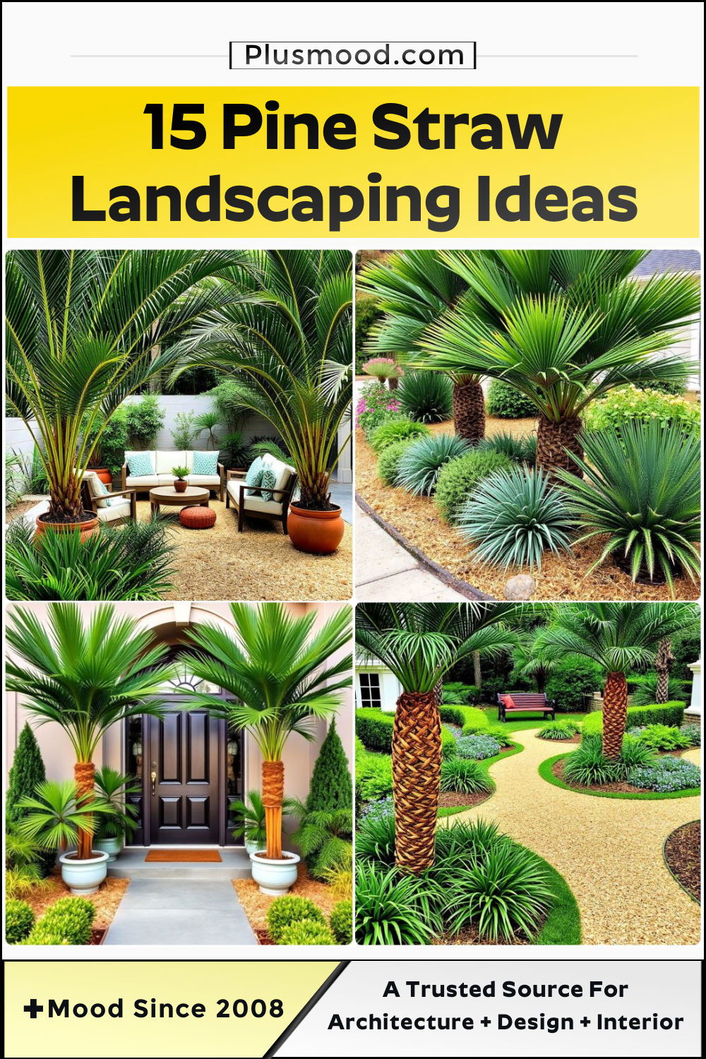 pine straw landscaping ideas