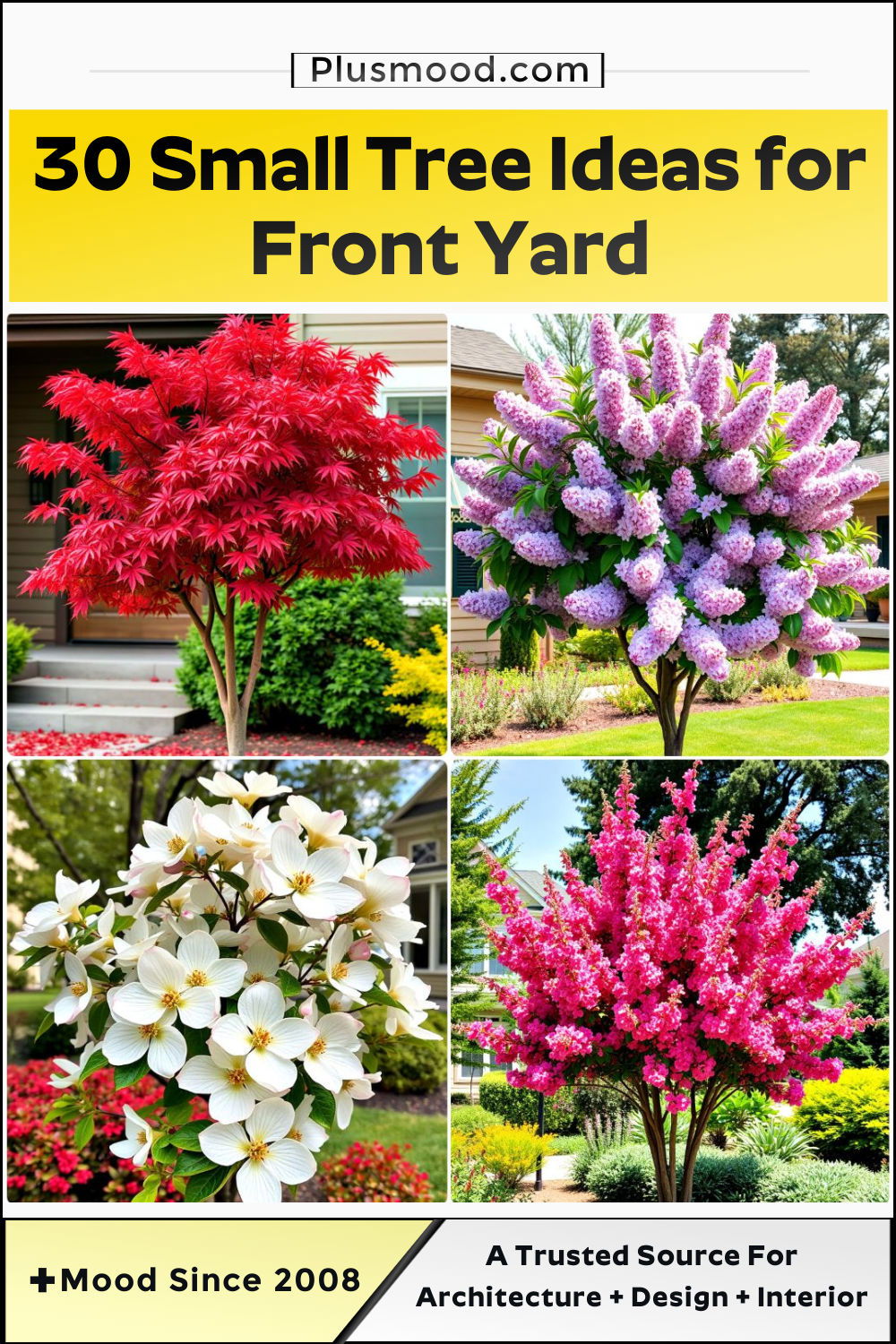 small tree idea for front yard