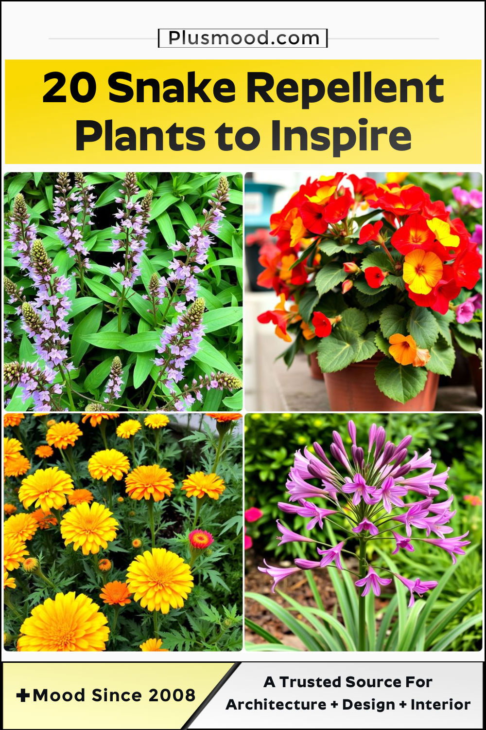 snake repellent plants