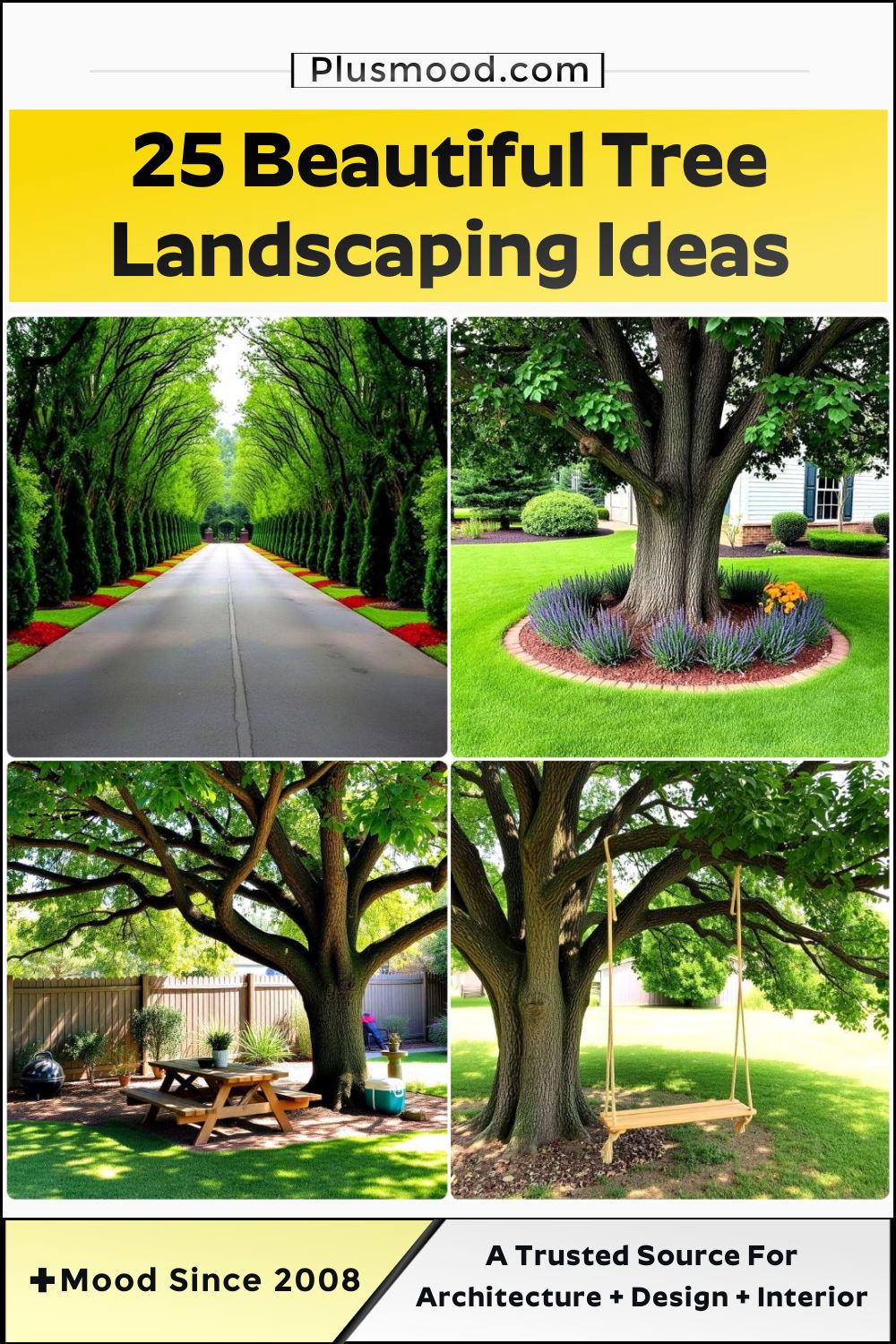 tree landscaping ideas