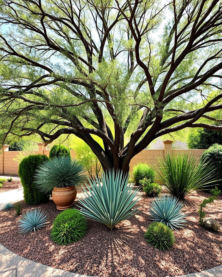 water wise tree groupings with mulch - 25 Drought Tolerant Landscaping Ideas