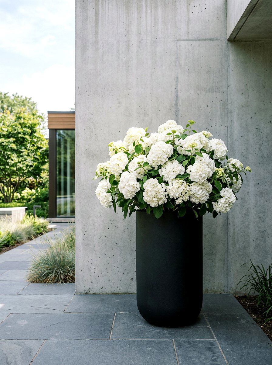 Classic White Hydrangeas In Black Urn - 25 Spring Urn Planter Ideas
