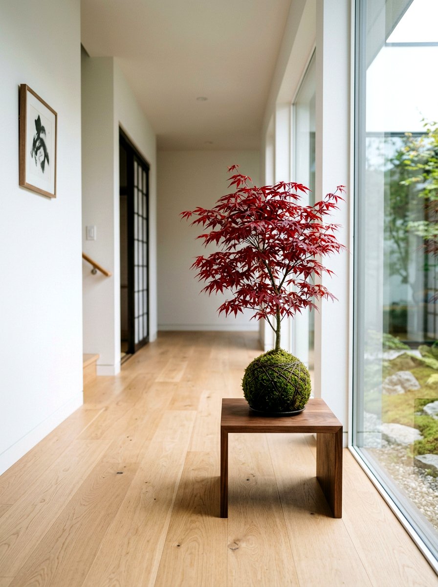 Japanese Maple Kokedama - 25 Spring Moss Ball Plant Ideas