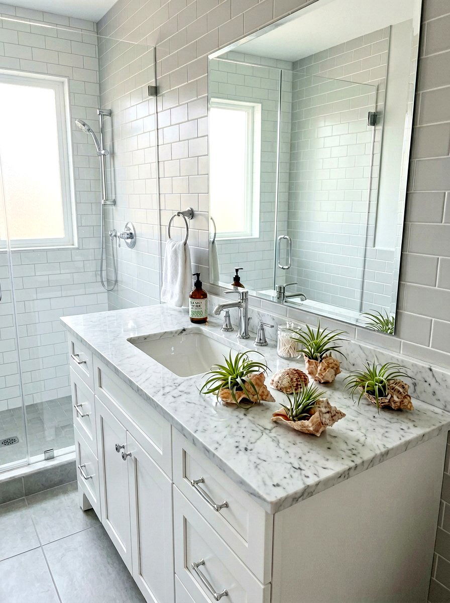 Seashell Air Plant Holder - 25 Spring Air Plant Display Ideas