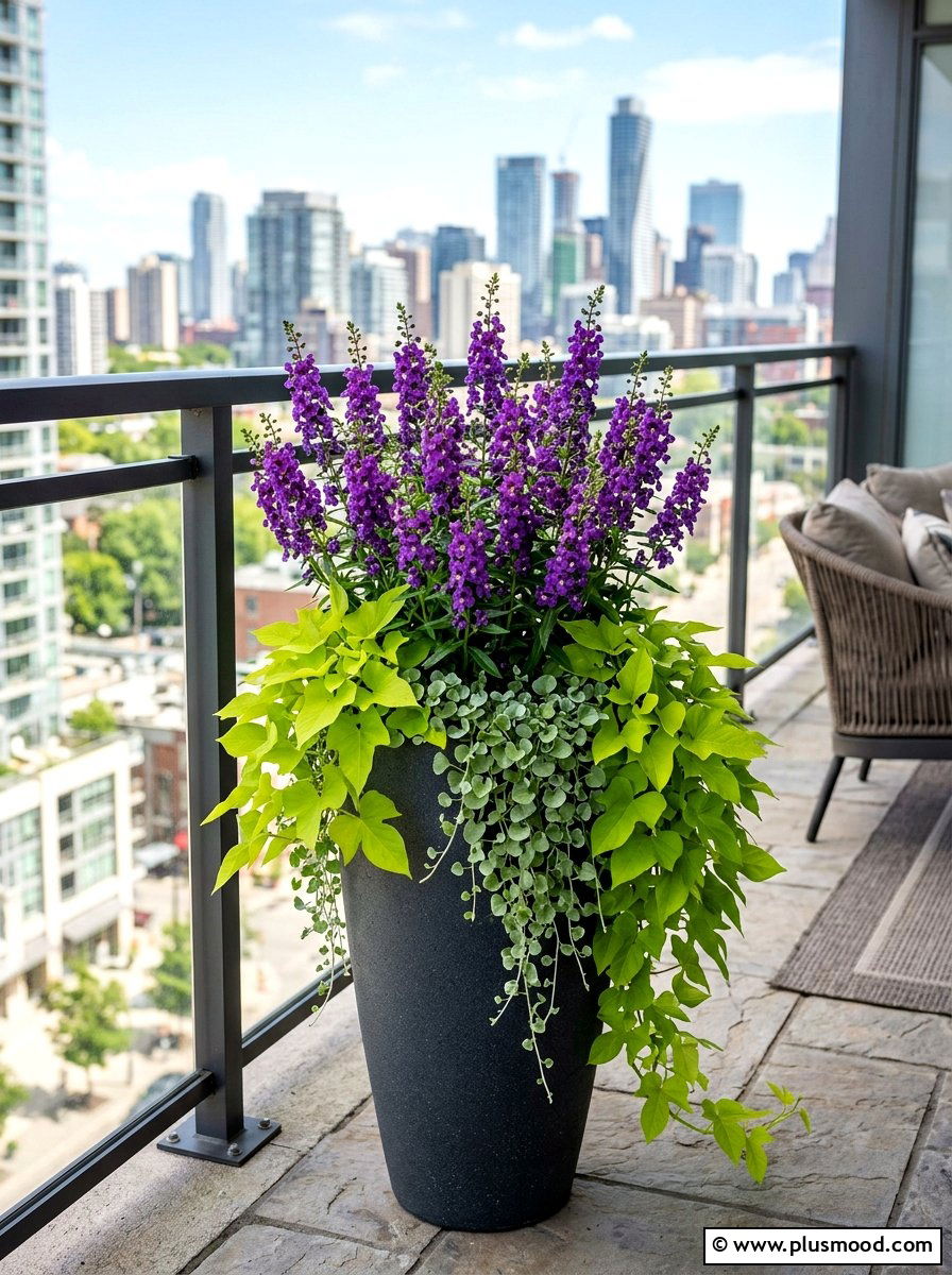 Angelonia For Vertical Interest - 25 summer patio flower ideas