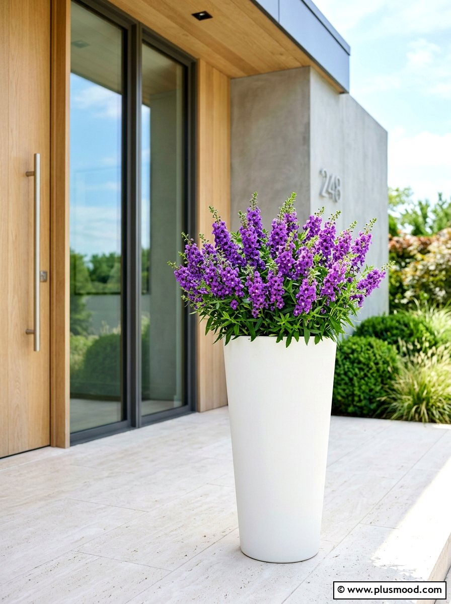 Angelonia tall planter - 25 summer planter ideas for full sun