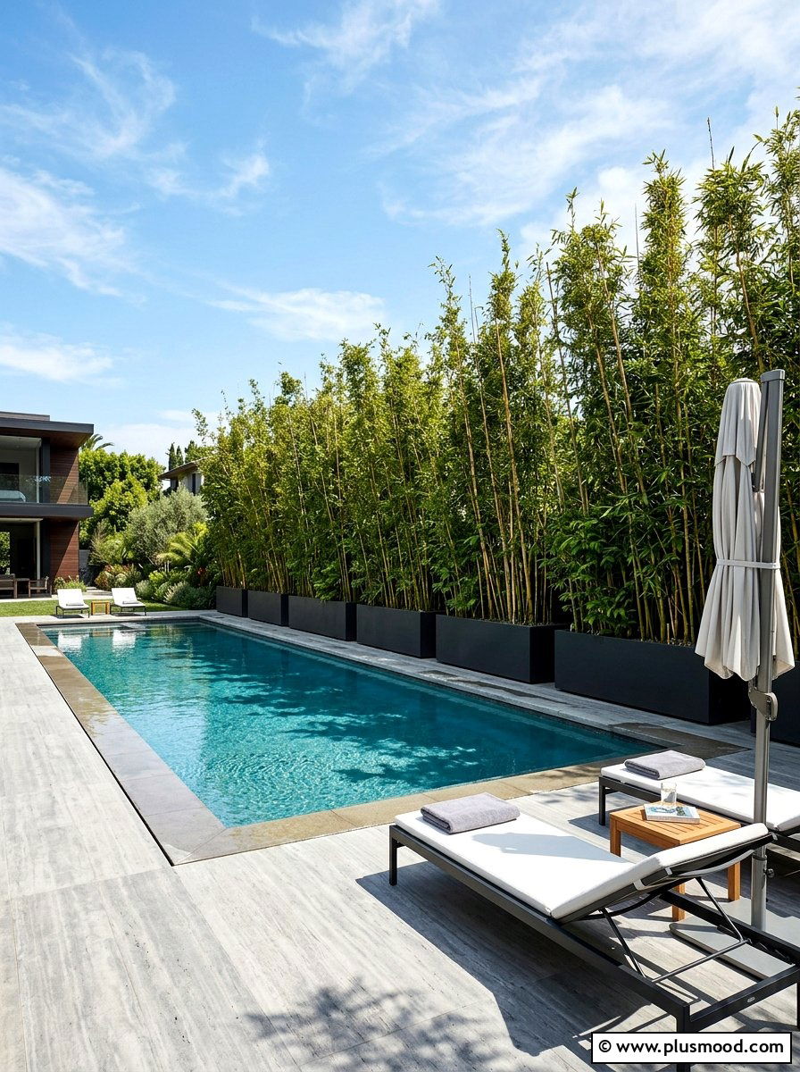 Bamboo Privacy Screen In Long Rectangular Box - 25 pool landscaping ideas with potted plants