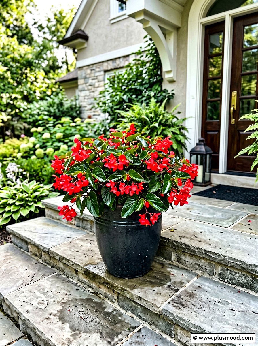Begonia Porch Pot - 25 summer porch planter ideas