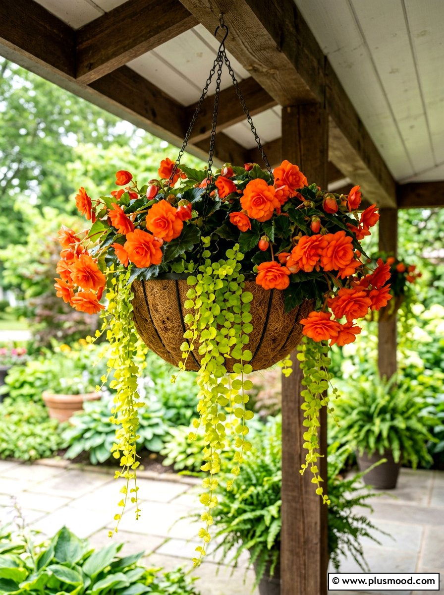 Begonia Shade Basket - 25 best summer planter ideas