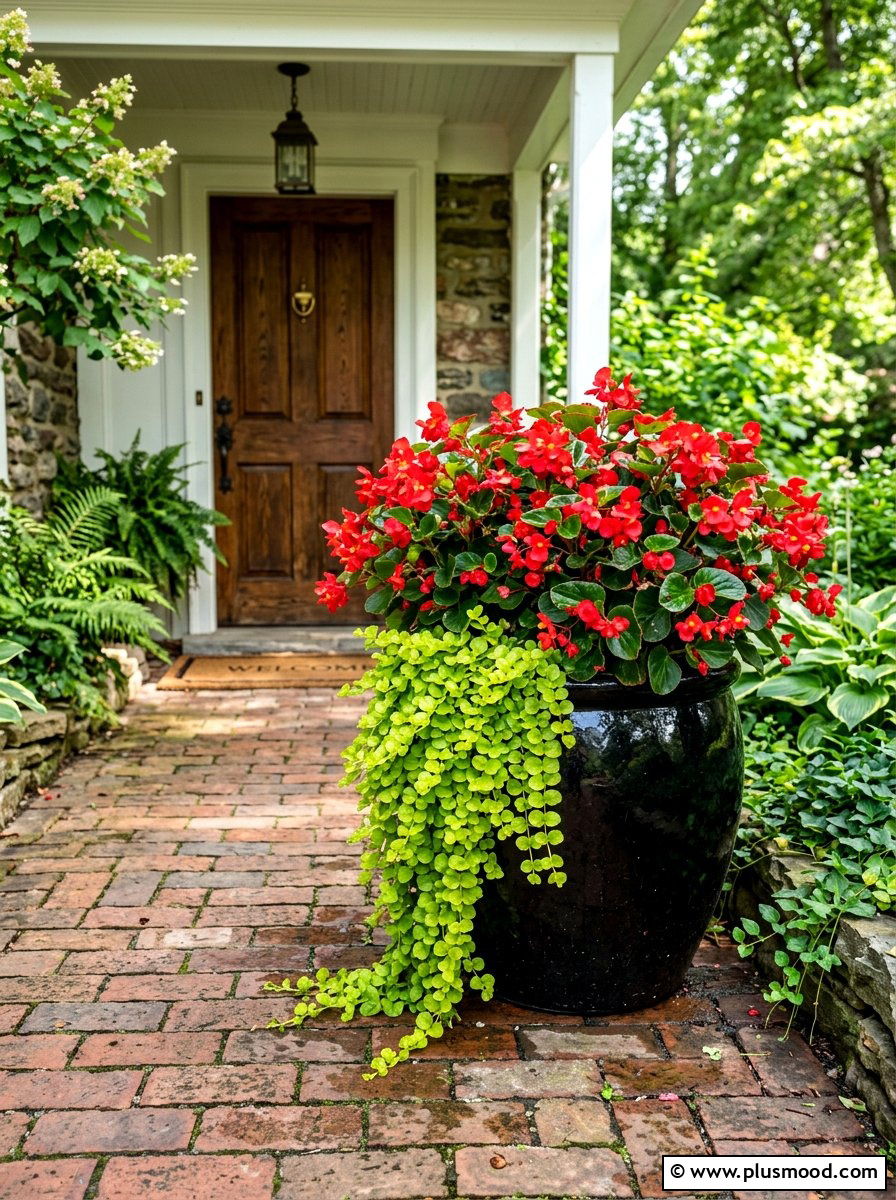 Begonia Shade Container - 25 summer colorful planter ideas