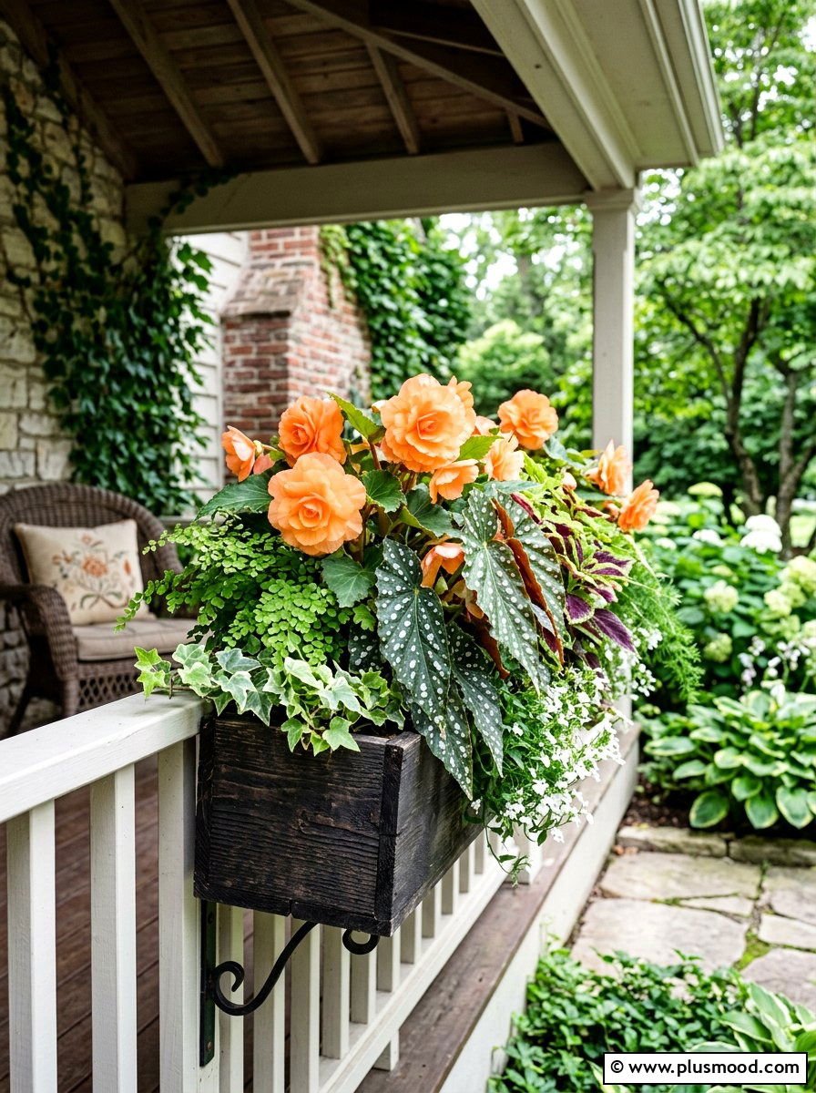 Begonia shade summer planter - 25 beautiful summer planter ideas
