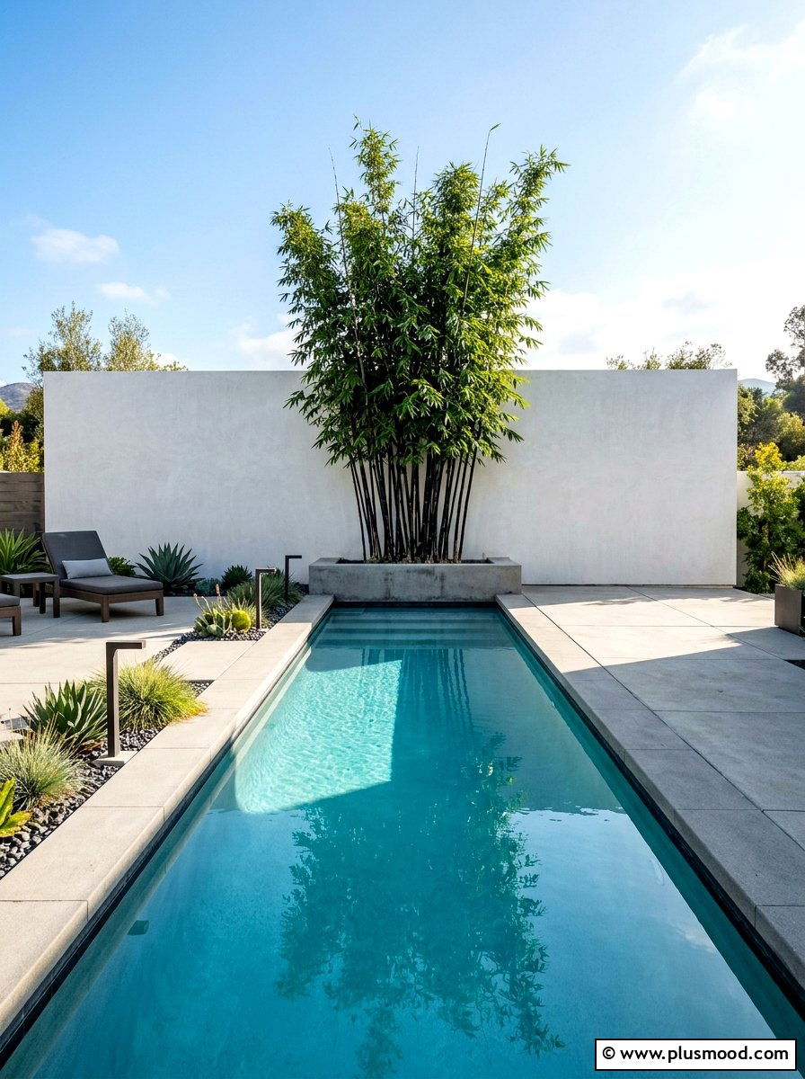 Black Bamboo Focal Point - 25 pool landscaping ideas with bamboo