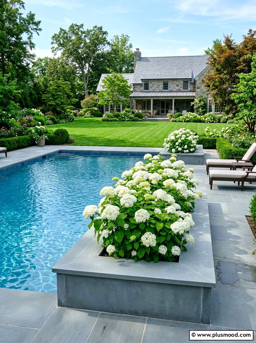Bluestone pool edge planter - 25 pool landscaping ideas with curved planters