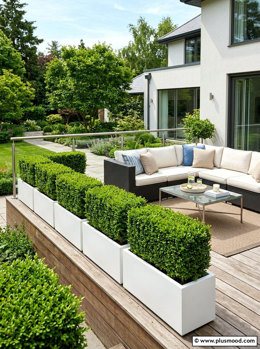 Boxwood Hedge Planter - 25 summer backyard privacy ideas