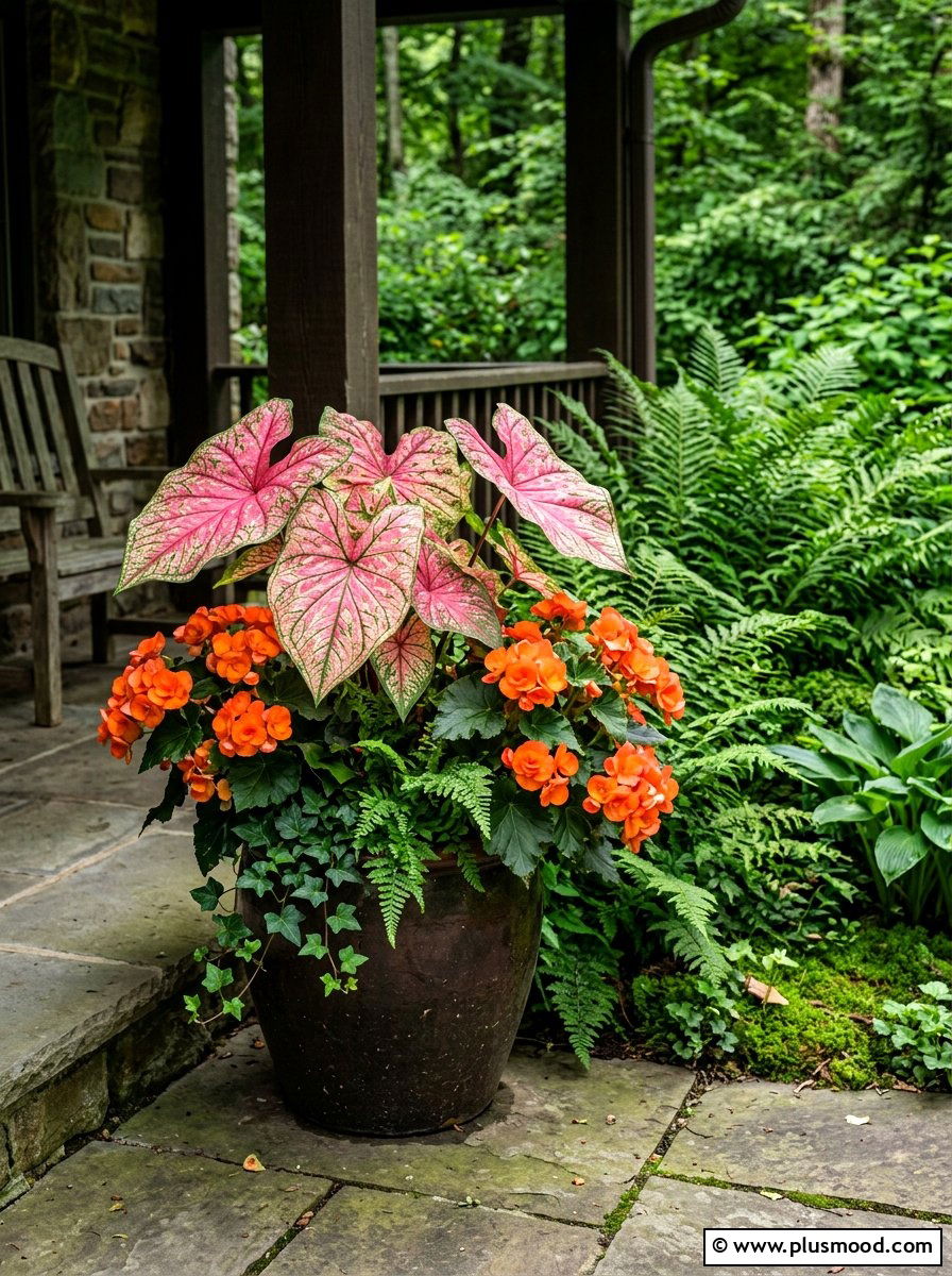 Caladium And Begonia Shade Pot - 25 summer flower pot arrangement ideas for front porch