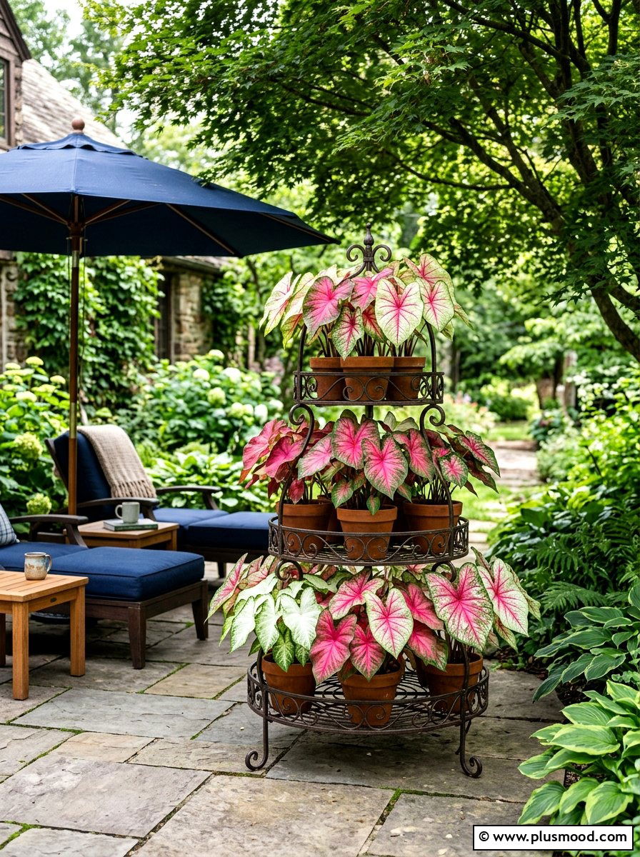 Caladium Leaf Contrast - 25 summer patio planter ideas