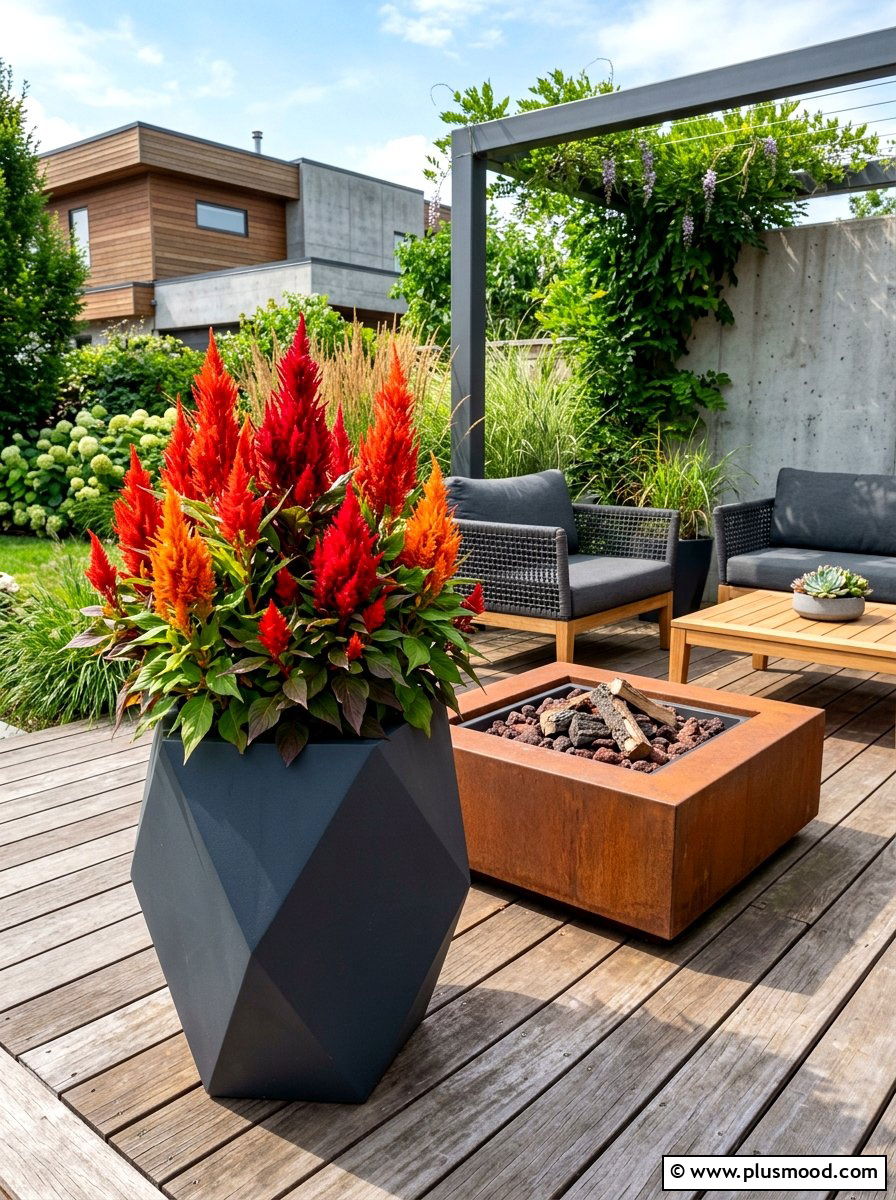Celosia Container Arrangement - 25 end of summer planter refresh ideas