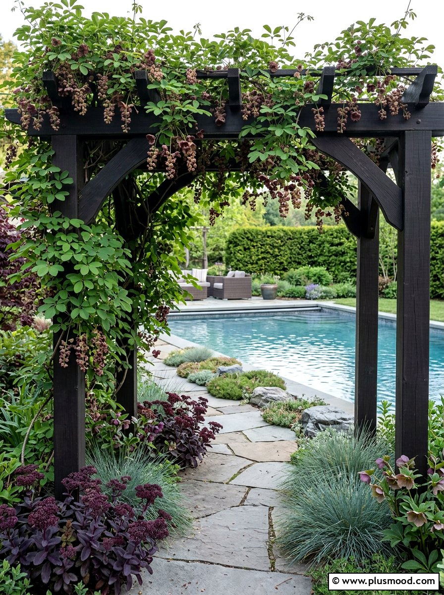 Chocolate Vine Poolside Arbor - 25 pool landscaping ideas with climbing plants