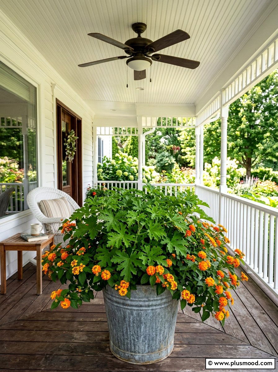 Citronella Plant Porch Urn - 25 summer porch urn ideas