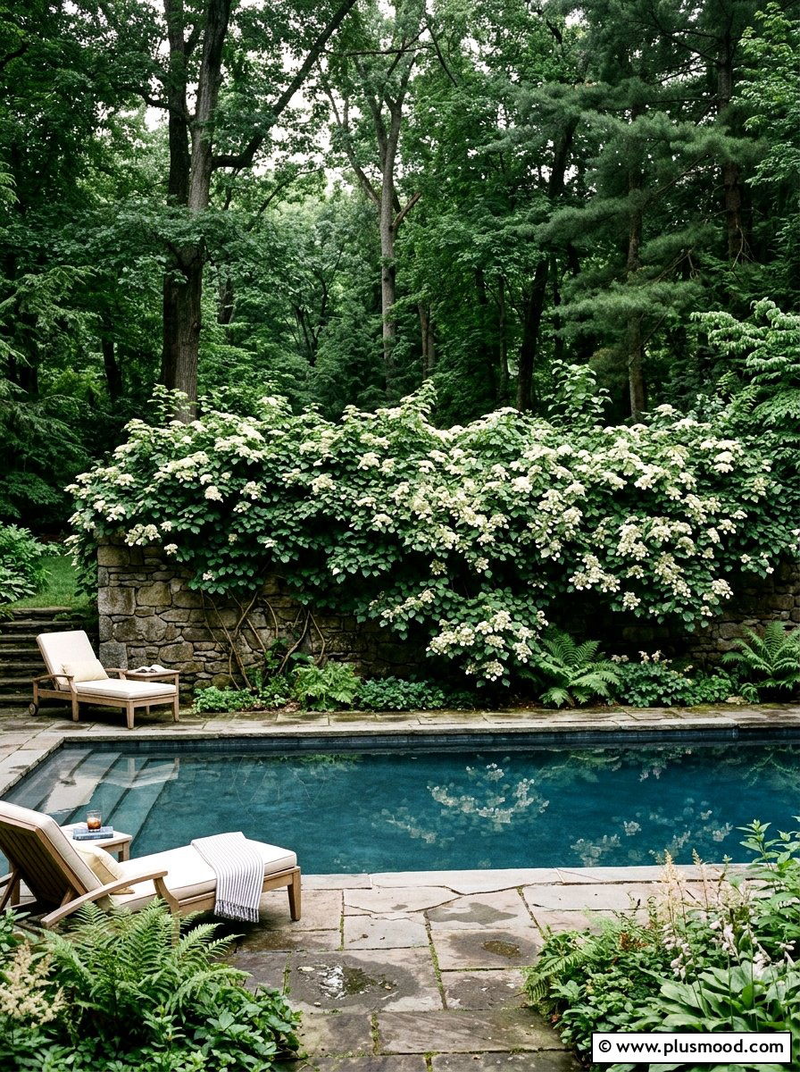 Climbing Hydrangea Shaded Pool Wall - 25 pool landscaping ideas with climbing plants