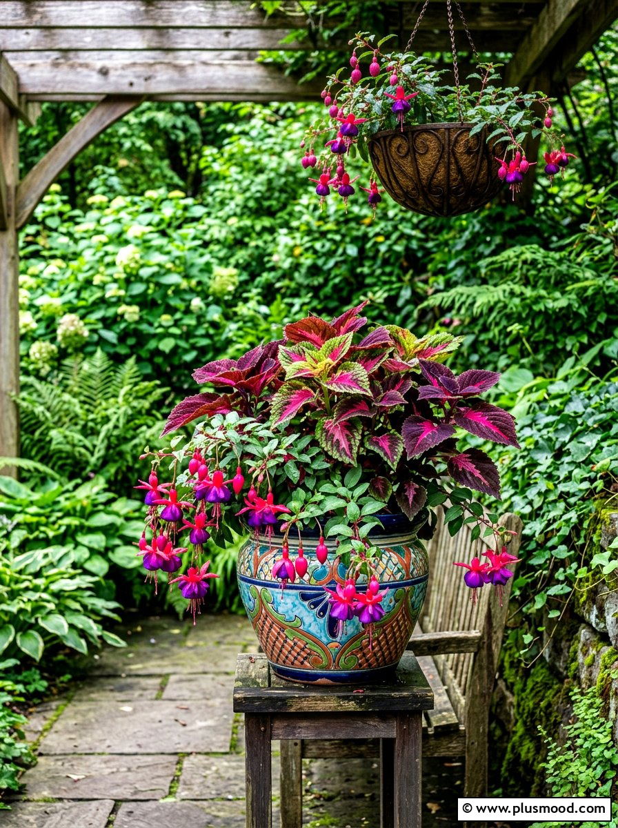 Coleus And Fuchsia Shade Combo - 25 summer planters with coleus ideas