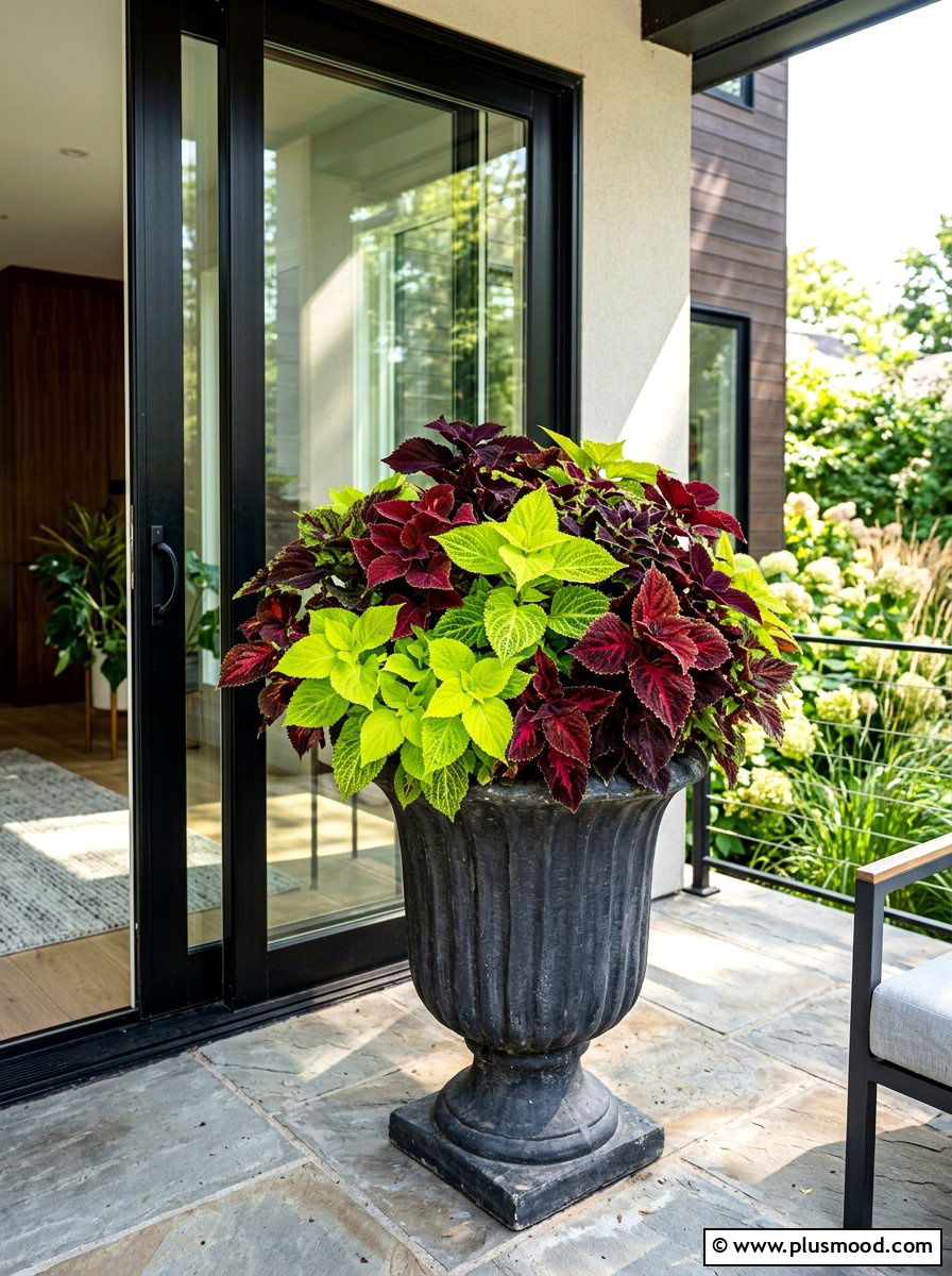 Coleus Leafy Urn - 25 summer porch urn ideas