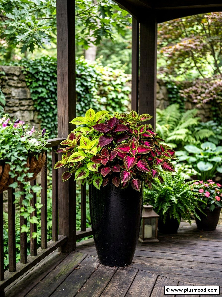 Colorful Coleus Porch Pot - 25 late summer planter ideas for porch