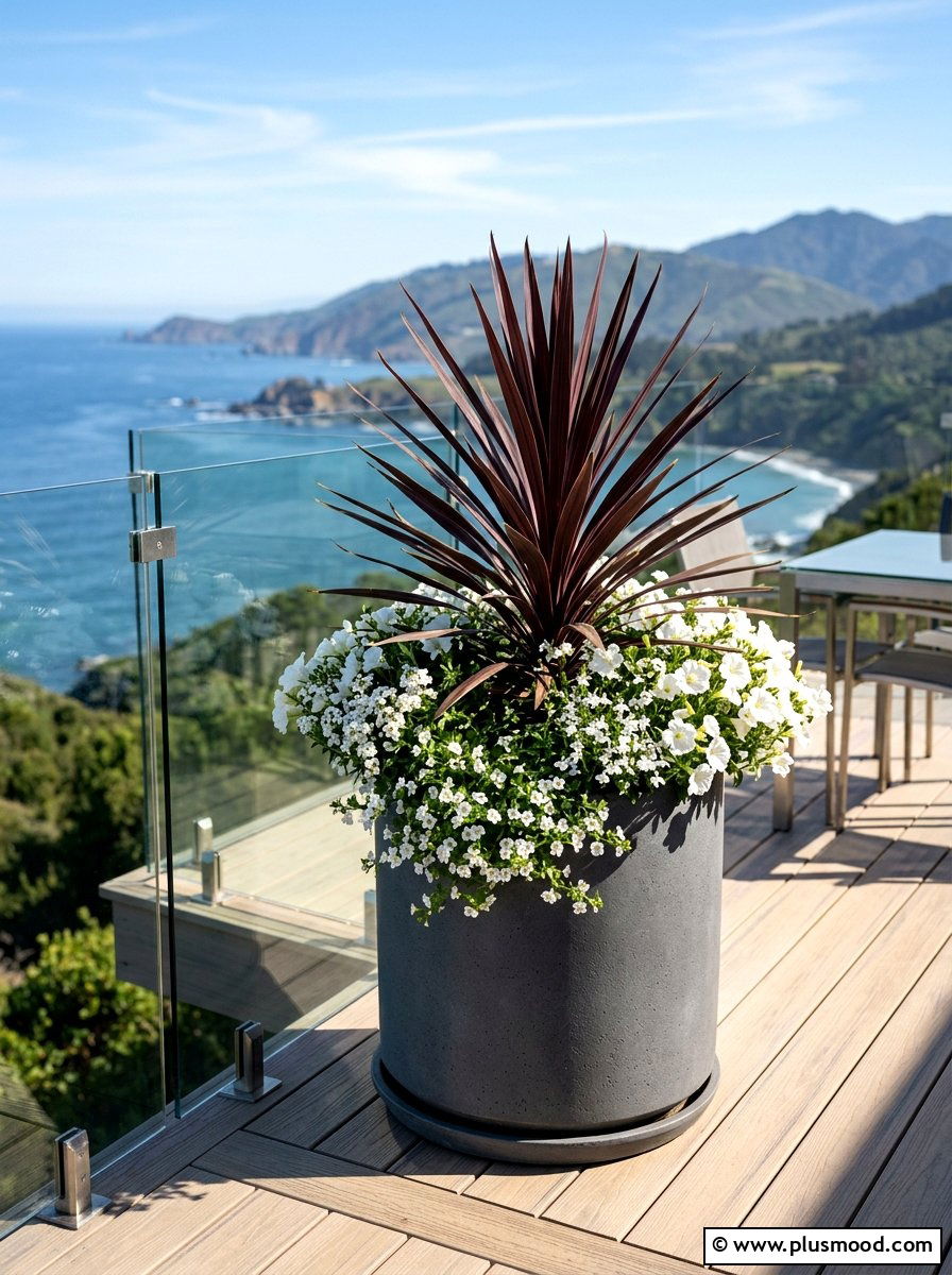 Cordyline Red Spike Planter - 25 summer tropical planter ideas
