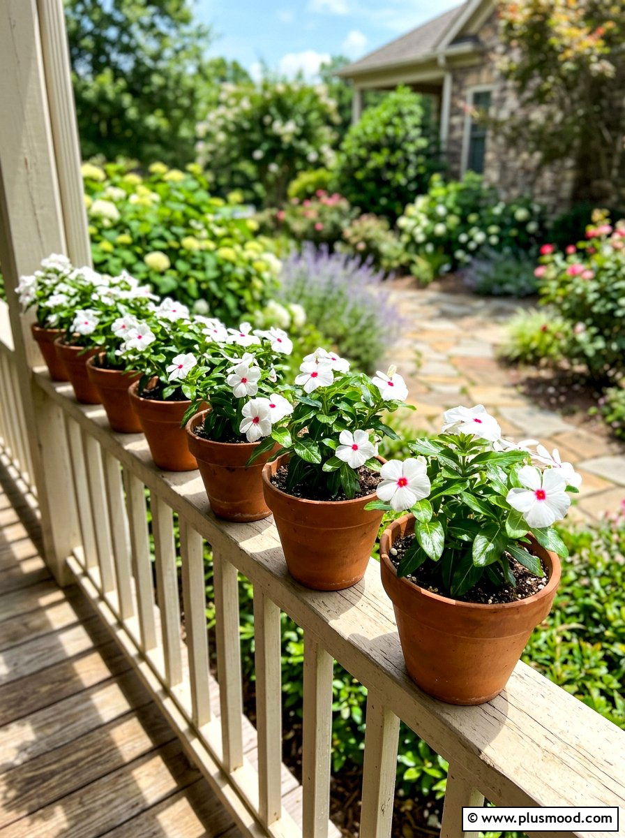 Glossy Vinca Flowers - 25 summer front porch flower ideas