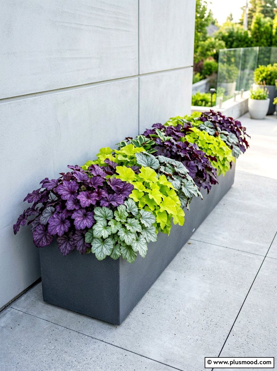 Heuchera Mixed Container - 25 summer planter ideas for part shade