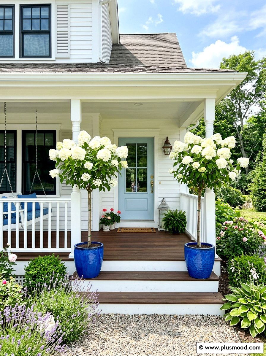 Hydrangea Standard Topiary - 25 summer topiary ideas for front entry