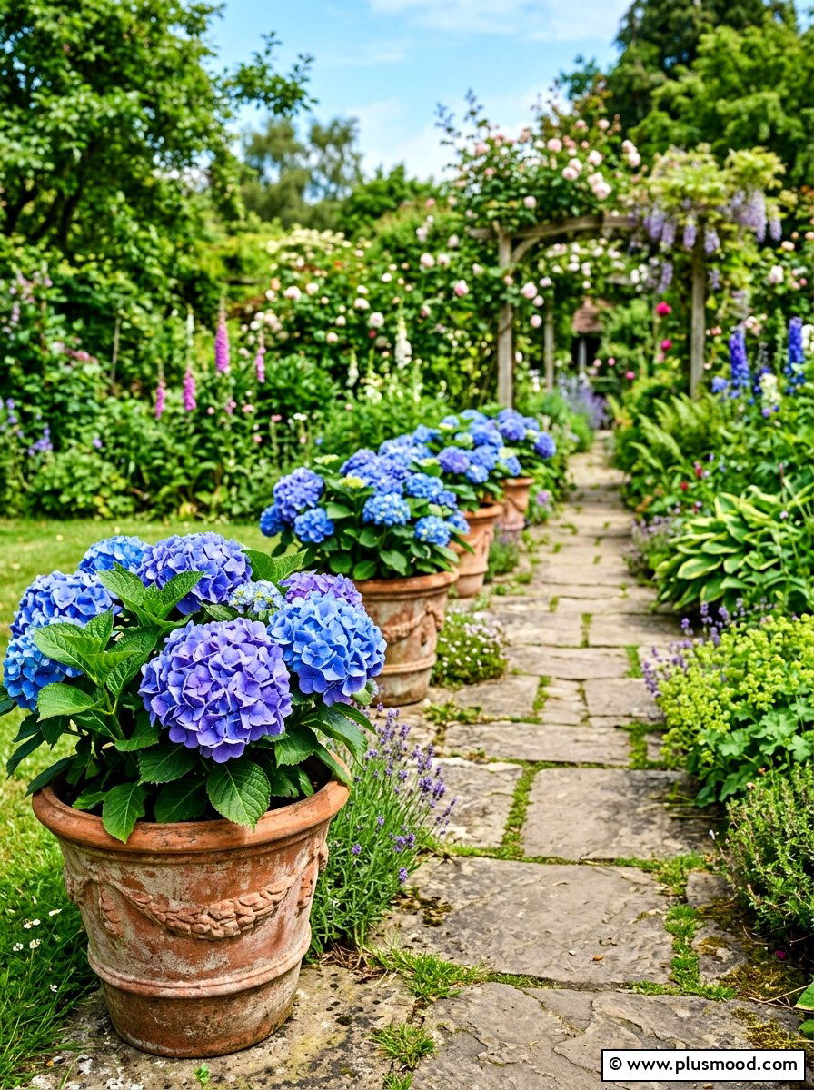 Hydrangea filled terracotta pot - 25 summer coastal planter ideas