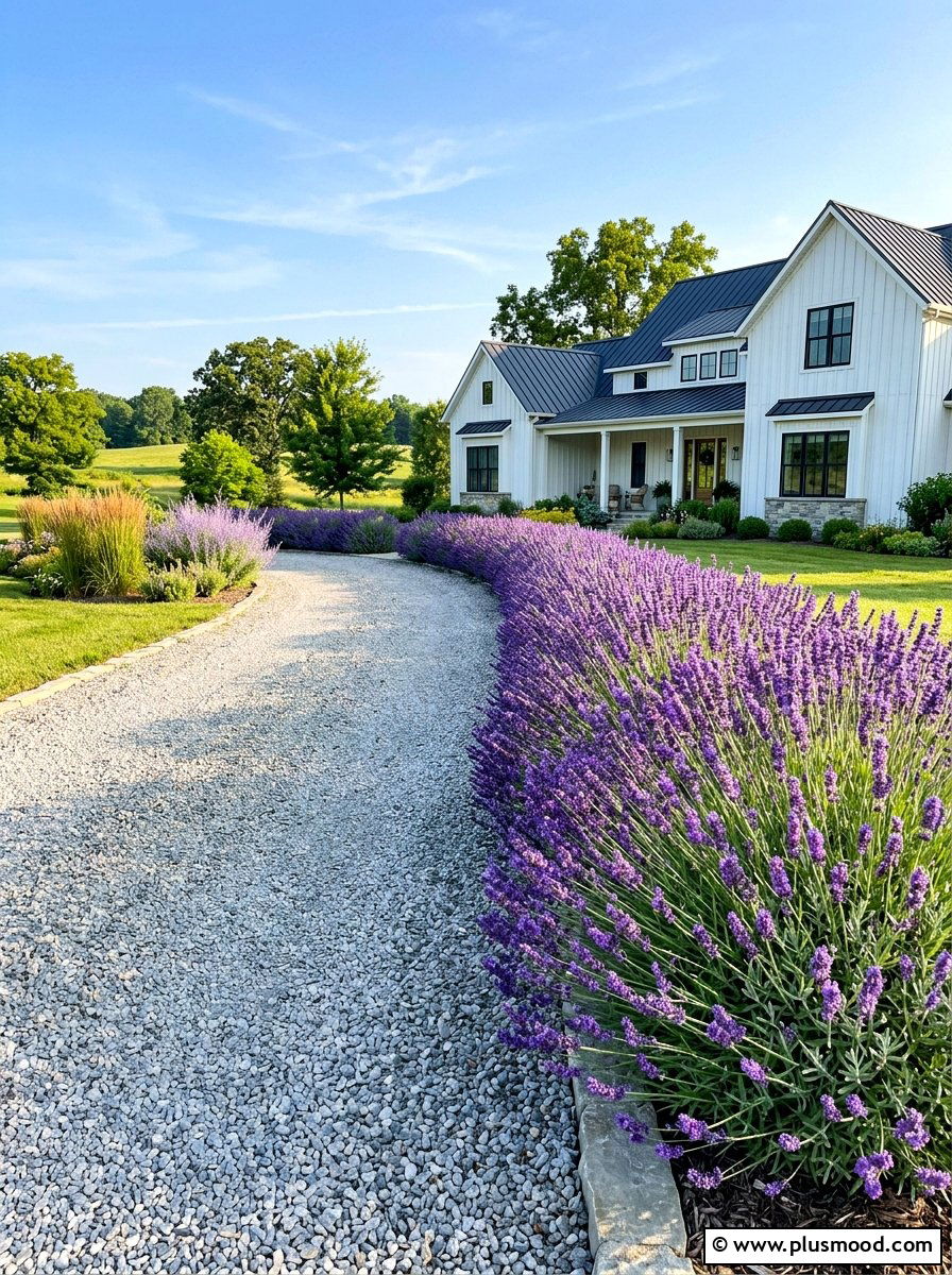 Lavender Hedge - 25 summer pollinator landscaping ideas