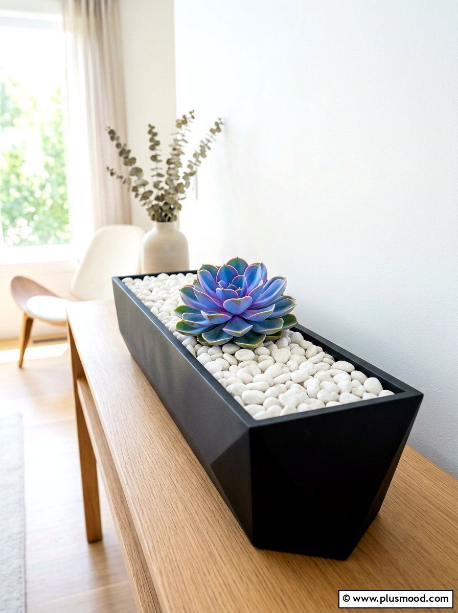 Minimalist Succulent Garden - 25 summer succulent planter ideas