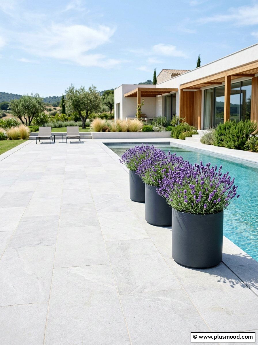 Minimalist pool lavender planting - 25 pool landscaping ideas with lavender