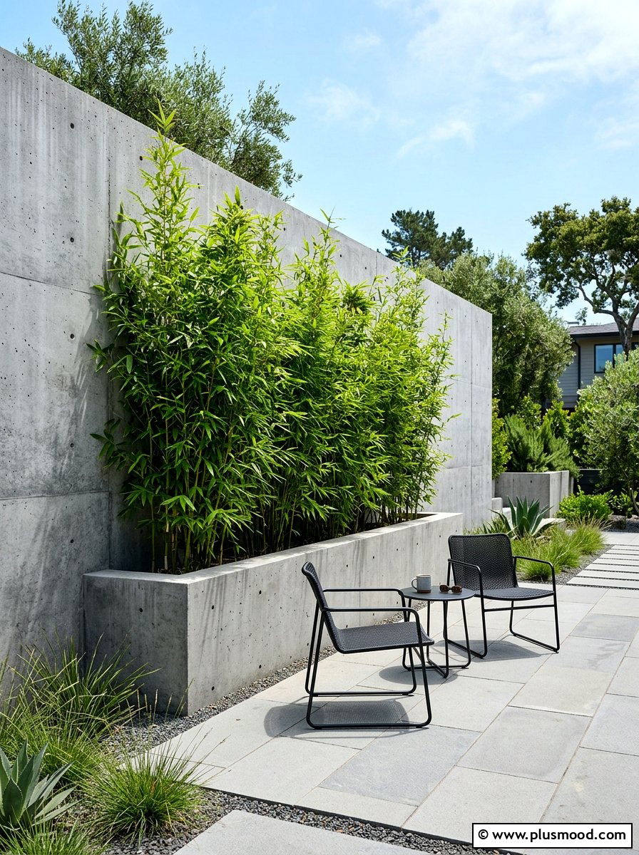 Modern Concrete Wall - 25 summer privacy landscaping ideas