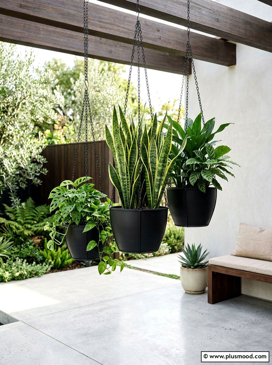 Modern black metal hanging pots - 25 small backyard ideas with hanging plants