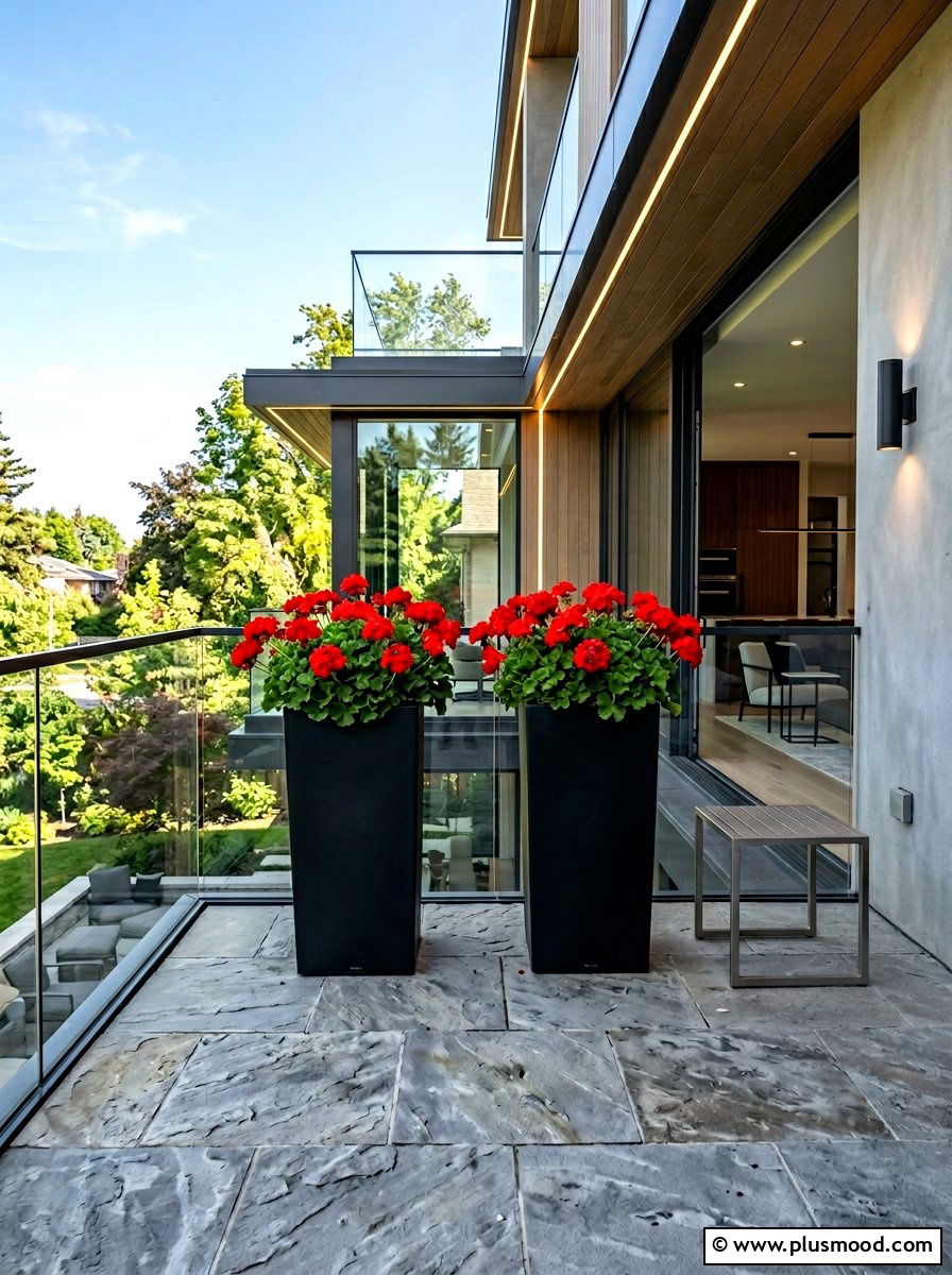 Modern black planters with red geraniums - 25 summer planters with geraniums ideas