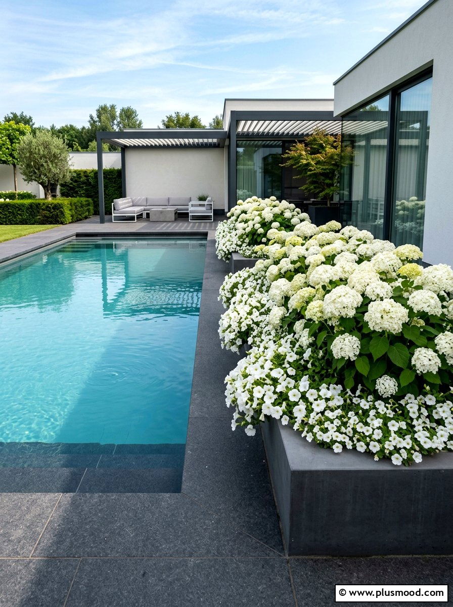 Modern white flower beds pool - 25 pool landscaping ideas with flower beds