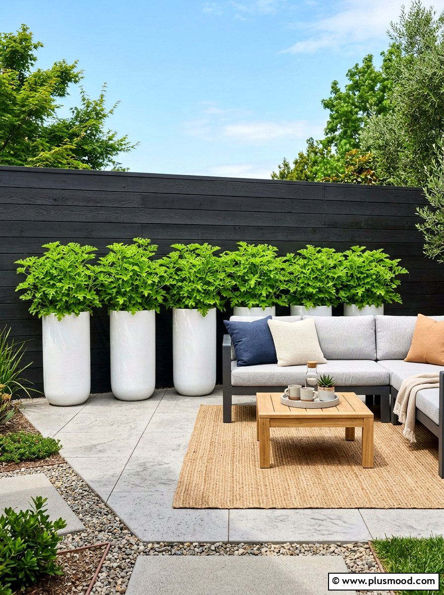 Modern white planters with citronella - 25 summer patio ideas with citronella plants