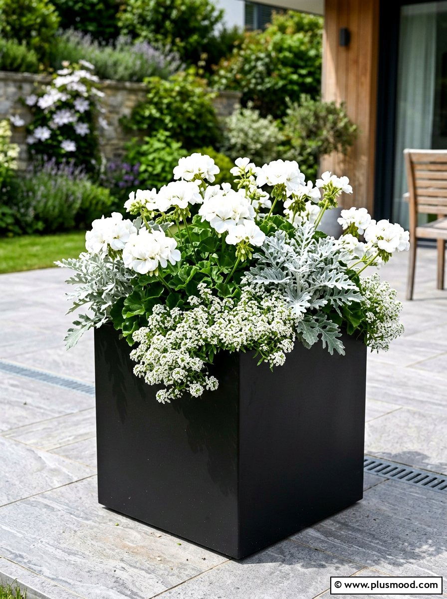 Monochromatic White Planter - 25 summer planter ideas