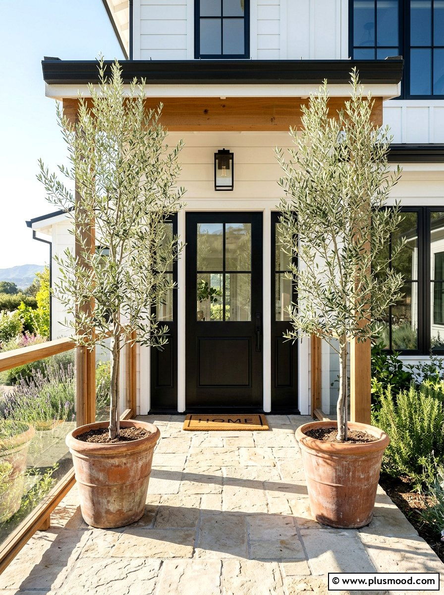 Olive Tree Decor - 25 summer rustic front porch ideas