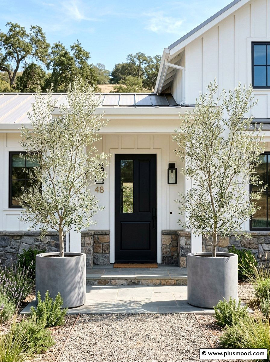 Olive Tree Entryway - 25 summer farmhouse curb appeal ideas